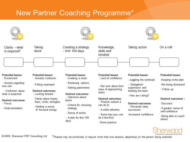 New Partner Coaching Programme
